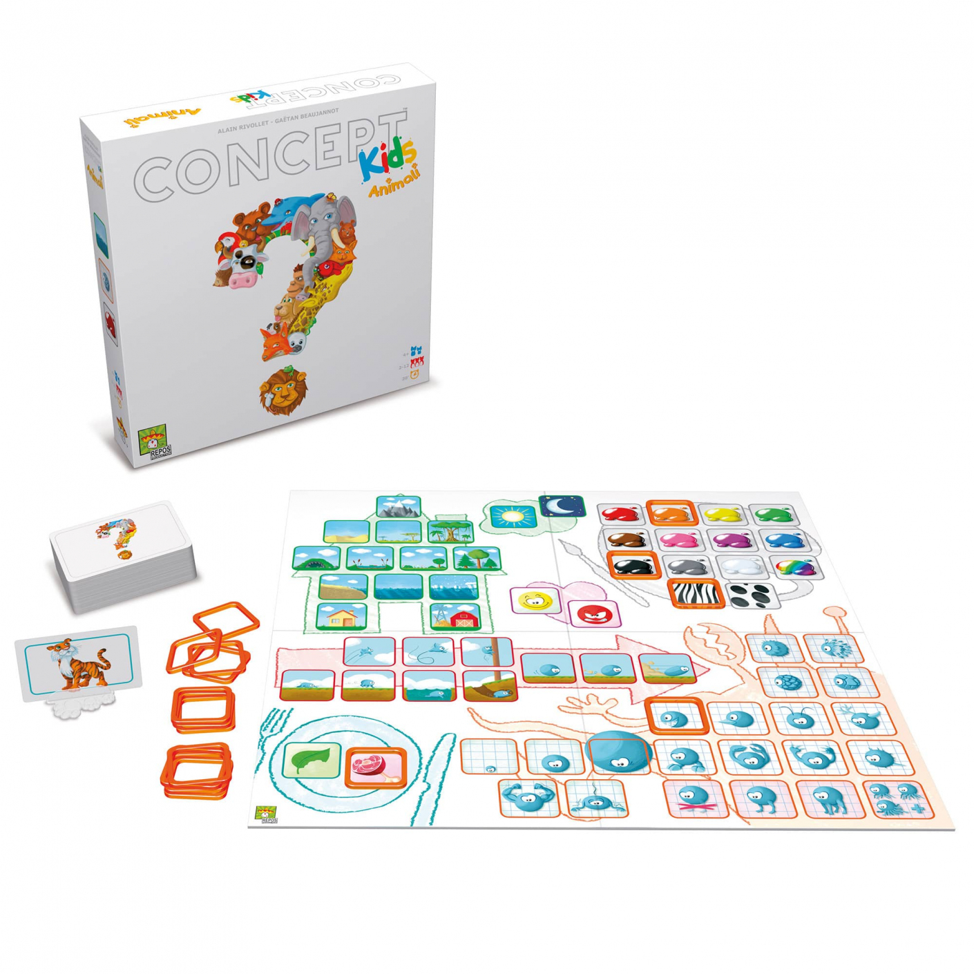 Concept Kids Animali